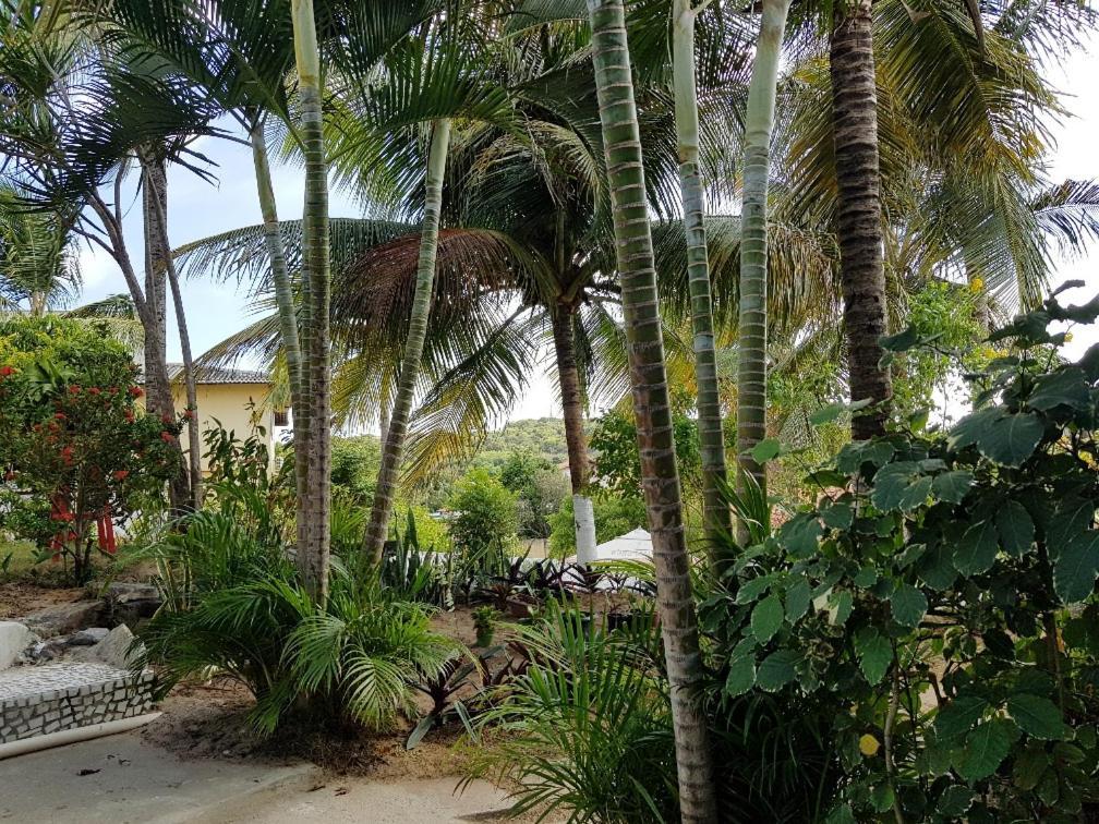 Апартаменти Casa Tua Pipa Praia de Pipa Екстер'єр фото