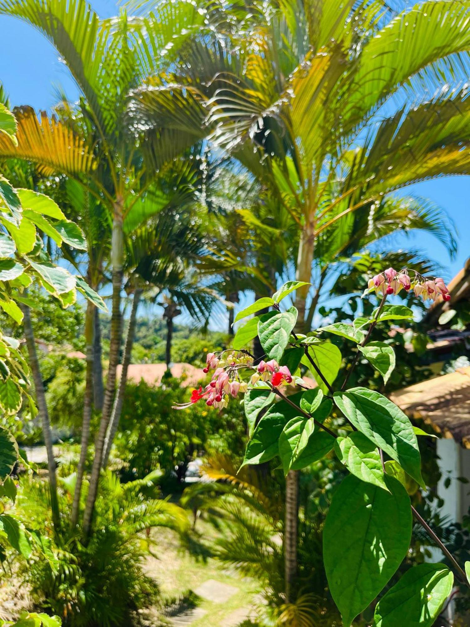 Апартаменти Casa Tua Pipa Praia de Pipa Екстер'єр фото
